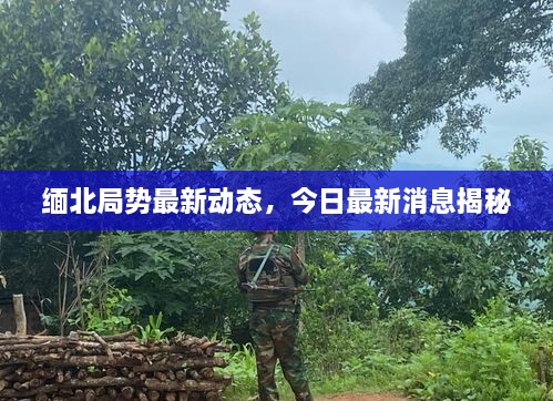 缅北局势最新动态，今日最新消息揭秘