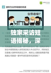 独家采访短语揭秘，深度探讨其背后的意义与影响