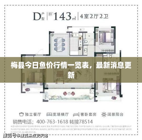 梅县今日鱼价行情一览表，最新消息更新