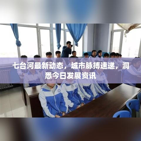 七台河最新动态，城市脉搏速递，洞悉今日发展资讯