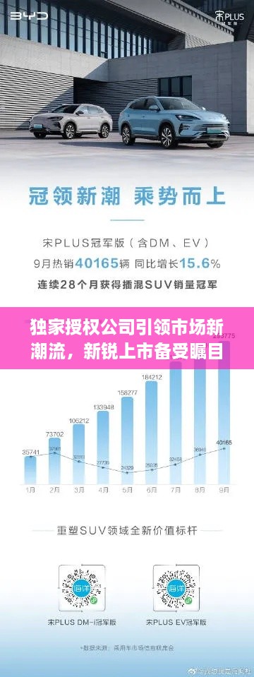 独家授权公司引领市场新潮流，新锐上市备受瞩目！