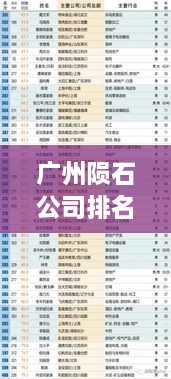 广州陨石公司排名揭秘，权威榜单揭晓，这些公司上榜！