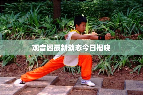 观音阁最新动态今日揭晓