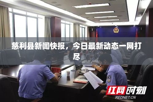 慈利县新闻快报，今日最新动态一网打尽