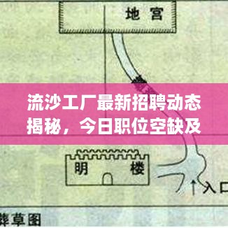 流沙工厂最新招聘动态揭秘，今日职位空缺及要求全解析