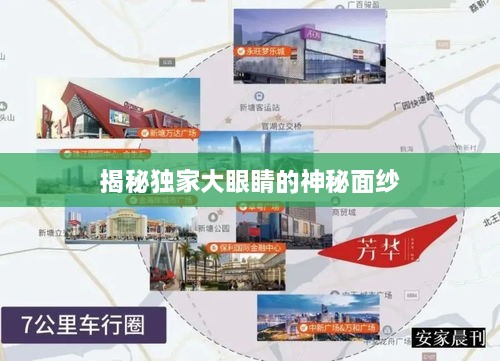 揭秘独家大眼睛的神秘面纱